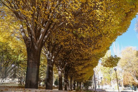 طبیعت پاییزی سیاسرد بروجن