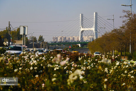 روز های آخر پاییز در تبریز