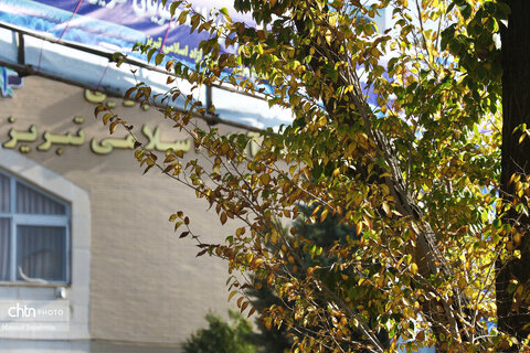 روز های آخر پاییز در تبریز