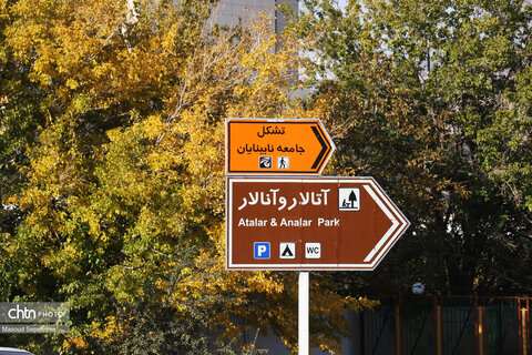 روز های آخر پاییز در تبریز