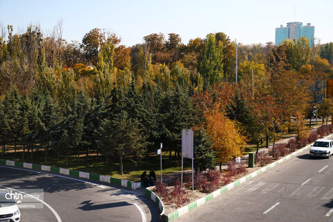 روز های آخر پاییز در تبریز