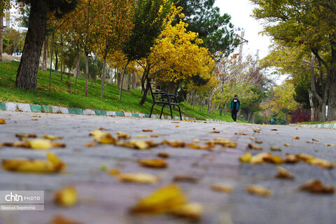 روز های آخر پاییز در تبریز