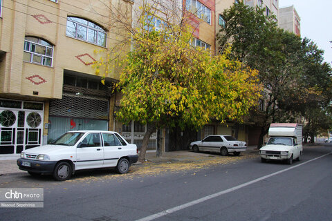 روز های آخر پاییز در تبریز