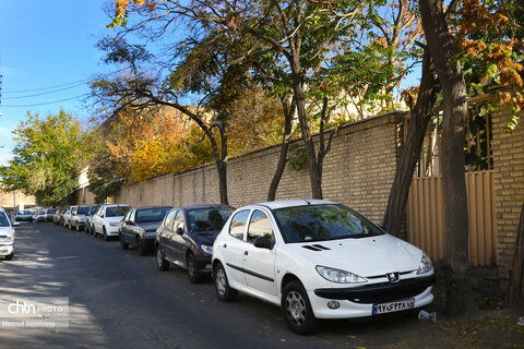 روز های آخر پاییز در تبریز