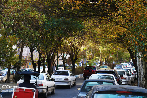 روز های آخر پاییز در تبریز