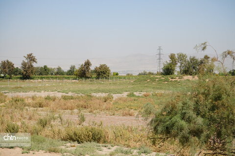 مرمت و بازسازی تپه میل، پاییز 404