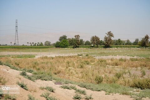 مرمت و بازسازی تپه میل، پاییز 404