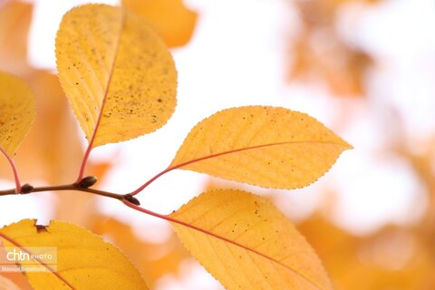 کلیسای سنت استپانوس جلفا در روزهای پاییزی