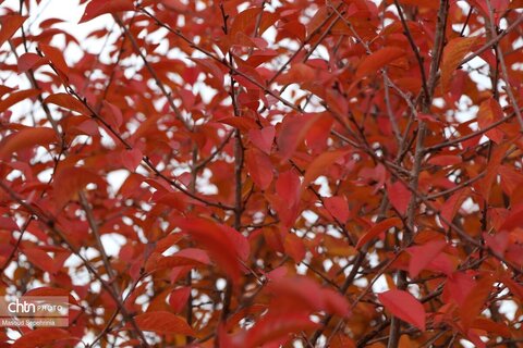 کلیسای سنت استپانوس جلفا در روزهای پاییزی