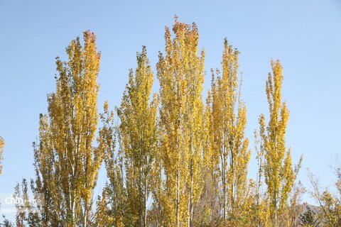 کلیسای سنت استپانوس جلفا در روزهای پاییزی