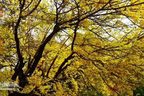 کلیسای سنت استپانوس جلفا در روزهای پاییزی