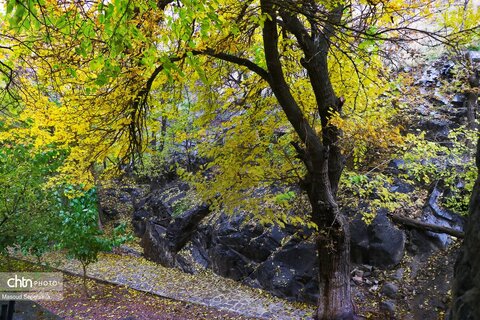 کلیسای سنت استپانوس جلفا در روزهای پاییزی