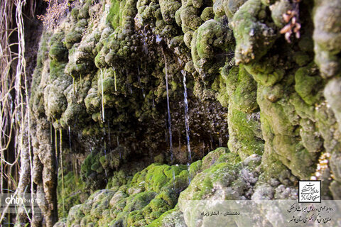 چشمه‌ها و آبشارهای بوشهر، جلوه‌های ناب طبیعت در دل سرزمین آفتاب درخشان جنوب هستند