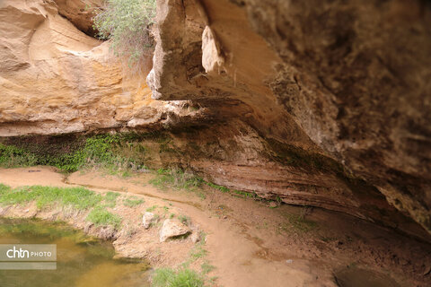 چشمه‌ها و آبشارهای بوشهر، جلوه‌های ناب طبیعت در دل سرزمین آفتاب درخشان جنوب هستند