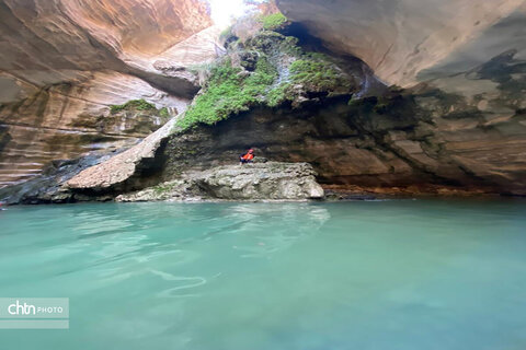 چشمه‌ها و آبشارهای بوشهر، جلوه‌های ناب طبیعت در دل سرزمین آفتاب درخشان جنوب هستند