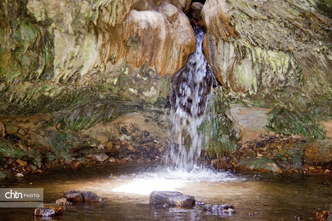 چشمه‌ها و آبشارهای بوشهر، جلوه‌های ناب طبیعت در دل سرزمین آفتاب درخشان جنوب هستند