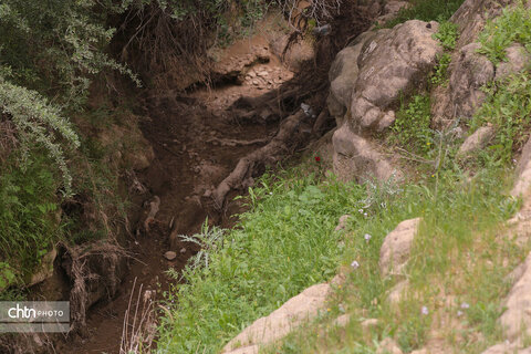 چشمه‌ها و آبشارهای بوشهر، جلوه‌های ناب طبیعت در دل سرزمین آفتاب درخشان جنوب هستند