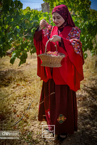 آثار تاریخی زنجان(عکاس: فرزاد خلج)