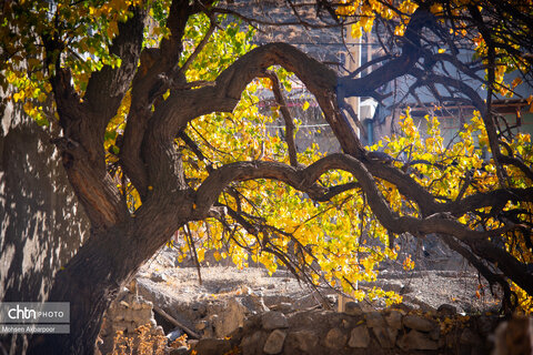 روستای یوش، عطر تاریخ از لابه لای خشت ها