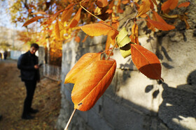 پاییز در روستای ترب در آذربایجان شرقی