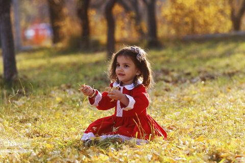 پاییز در روستای ترب در آذربایجان شرقی