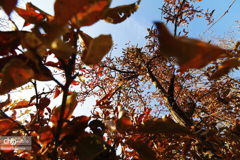پاییز در روستای ترب در آذربایجان شرقی