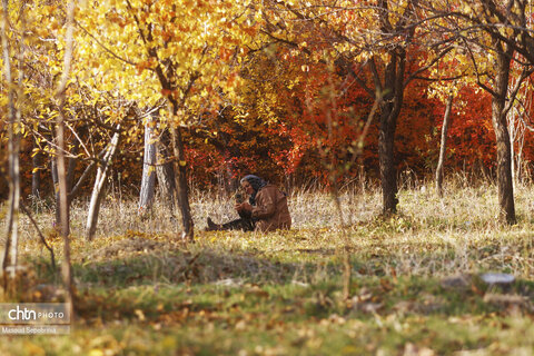 پاییز در روستای ترب در آذربایجان شرقی