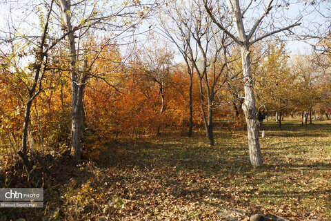 پاییز در روستای ترب در آذربایجان شرقی