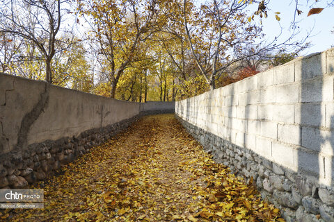 پاییز در روستای ترب در آذربایجان شرقی