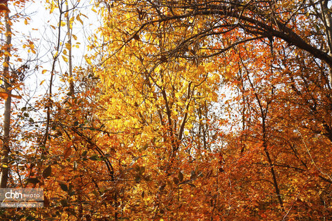 پاییز در روستای ترب در آذربایجان شرقی