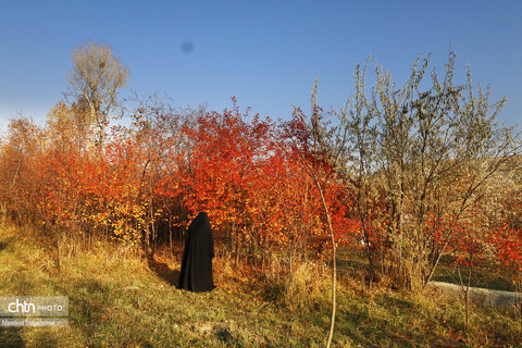 پاییز در روستای ترب در آذربایجان شرقی