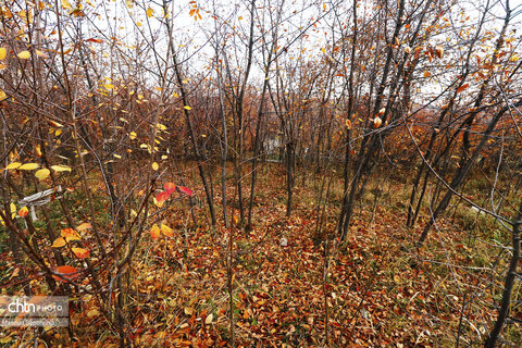 پاییز در روستای ترب در آذربایجان شرقی