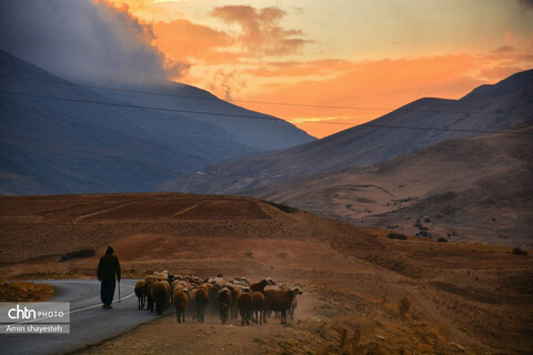 پاییز زیبای نهاوند، شهر سراب‌های جوشان