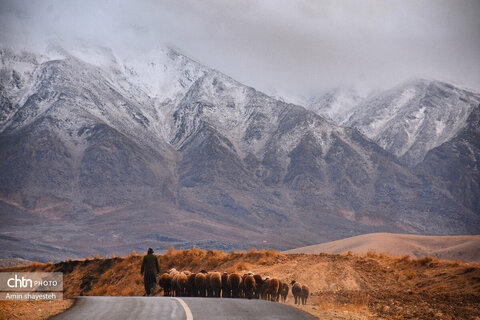 پاییز زیبای نهاوند، شهر سراب‌های جوشان