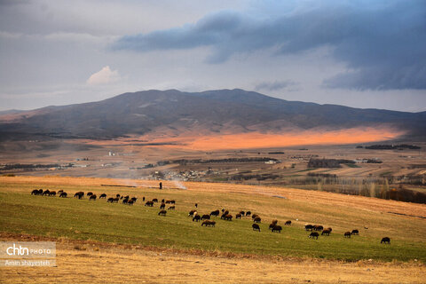 پاییز زیبای نهاوند، شهر سراب‌های جوشان