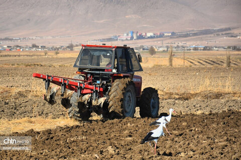 پاییز زیبای نهاوند، شهر سراب‌های جوشان