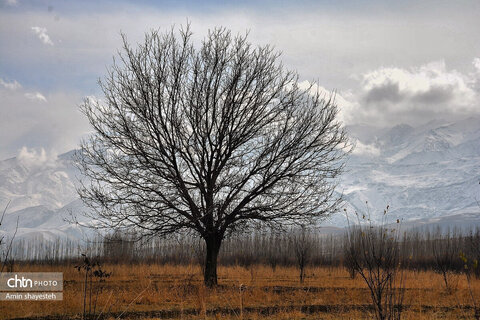 پاییز زیبای نهاوند، شهر سراب‌های جوشان