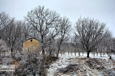 پاییز زیبای نهاوند، شهر سراب‌های جوشان