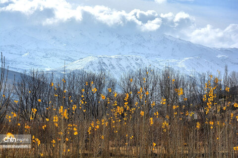 پاییز زیبای نهاوند، شهر سراب‌های جوشان