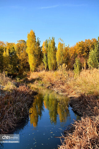 پاییز زیبای نهاوند، شهر سراب‌های جوشان