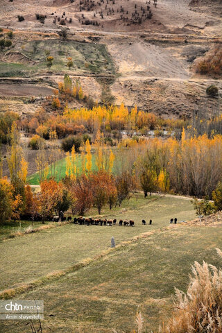 پاییز زیبای نهاوند، شهر سراب‌های جوشان