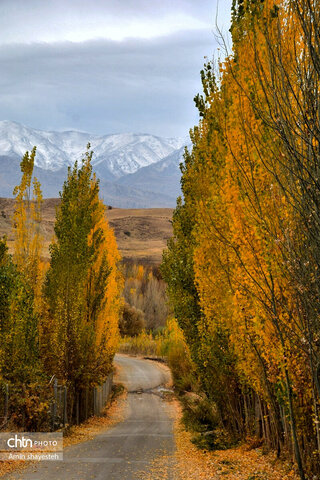 پاییز زیبای نهاوند، شهر سراب‌های جوشان