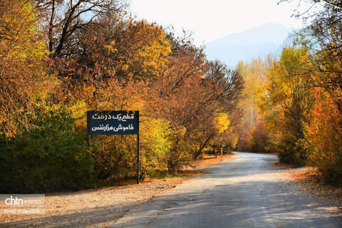 پاییز زیبای نهاوند، شهر سراب‌های جوشان