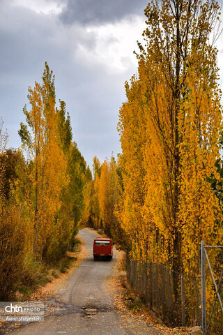 پاییز زیبای نهاوند، شهر سراب‌های جوشان