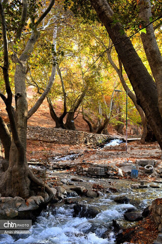 پاییز زیبای نهاوند، شهر سراب‌های جوشان