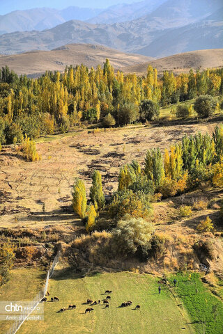 پاییز زیبای نهاوند، شهر سراب‌های جوشان