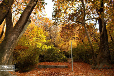 پاییز زیبای نهاوند، شهر سراب‌های جوشان