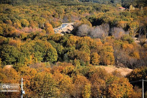 پاییز زیبای نهاوند، شهر سراب‌های جوشان