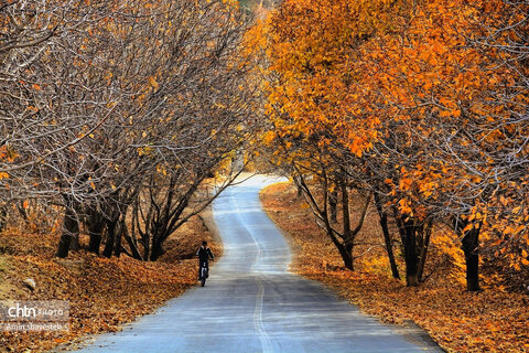 پاییز زیبای نهاوند، شهر سراب‌های جوشان