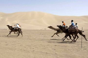 برگزاری پنجمین جشنواره ملی شترسواری شهرستان خوروبیابانک